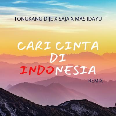 Cari Cinta Di Indonesia (Remix)'s cover