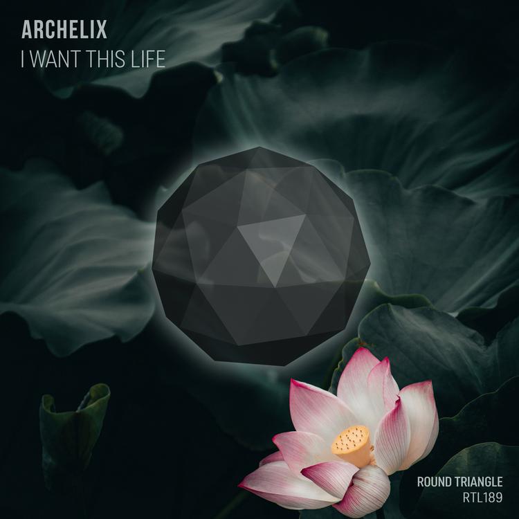 Archelix's avatar image