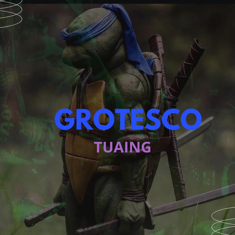 Tuaing's avatar image