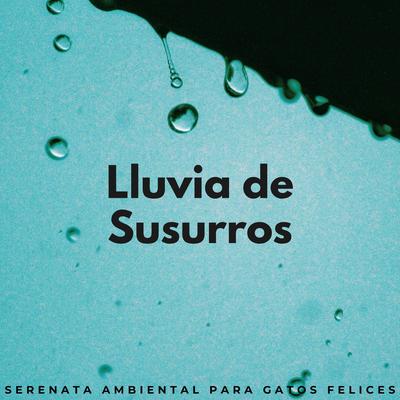 Susurro De Lluvia Canción De Cuna Para Gatos's cover