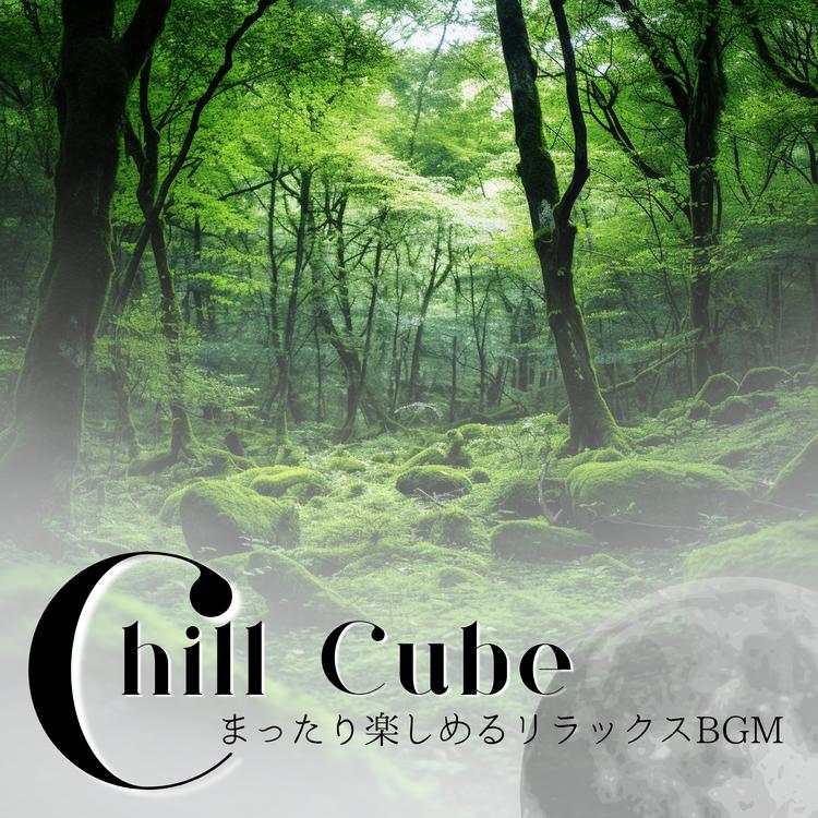 Chill Cube's avatar image