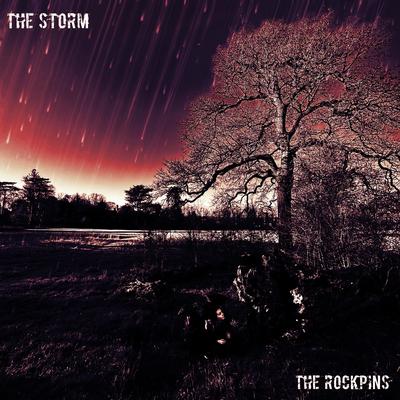 The Storm By The Rockpins's cover