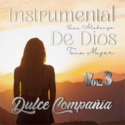 Remolineando (Instrumental)'s cover