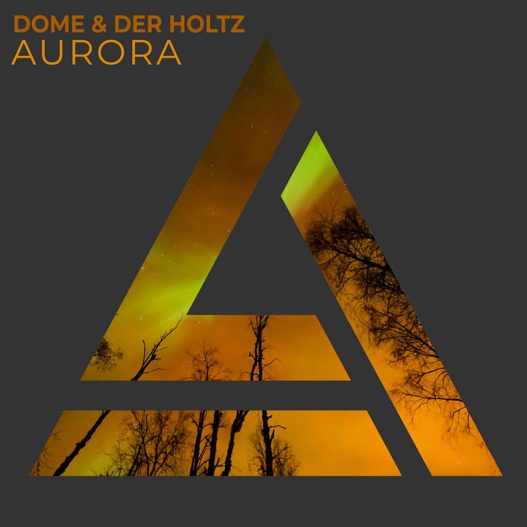 Dome & Der Holtz's avatar image