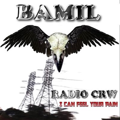 Radio Crw - I Can Feel Your Pain's cover