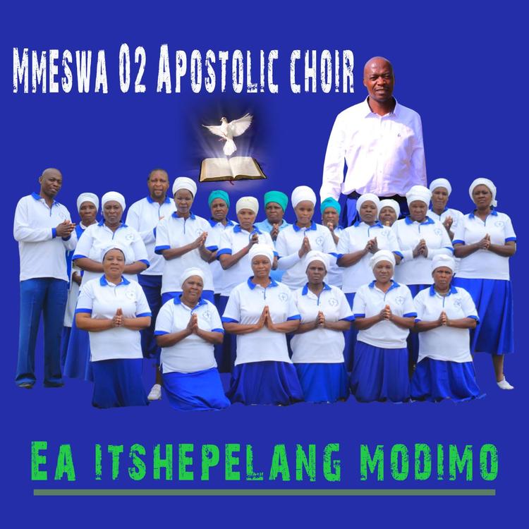 MMESWA 02 APOSTOLIC CHOIR's avatar image