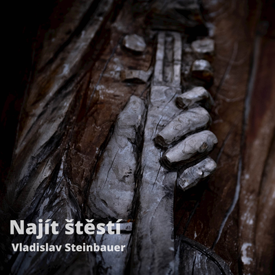 Najít štěstí's cover