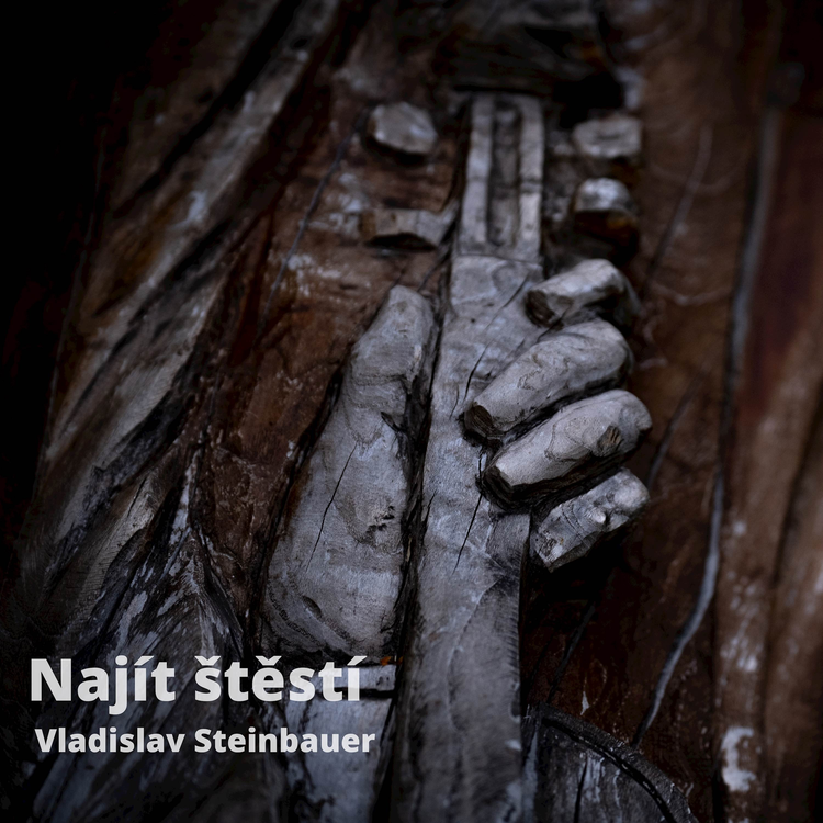 Vladislav Steinbauer's avatar image