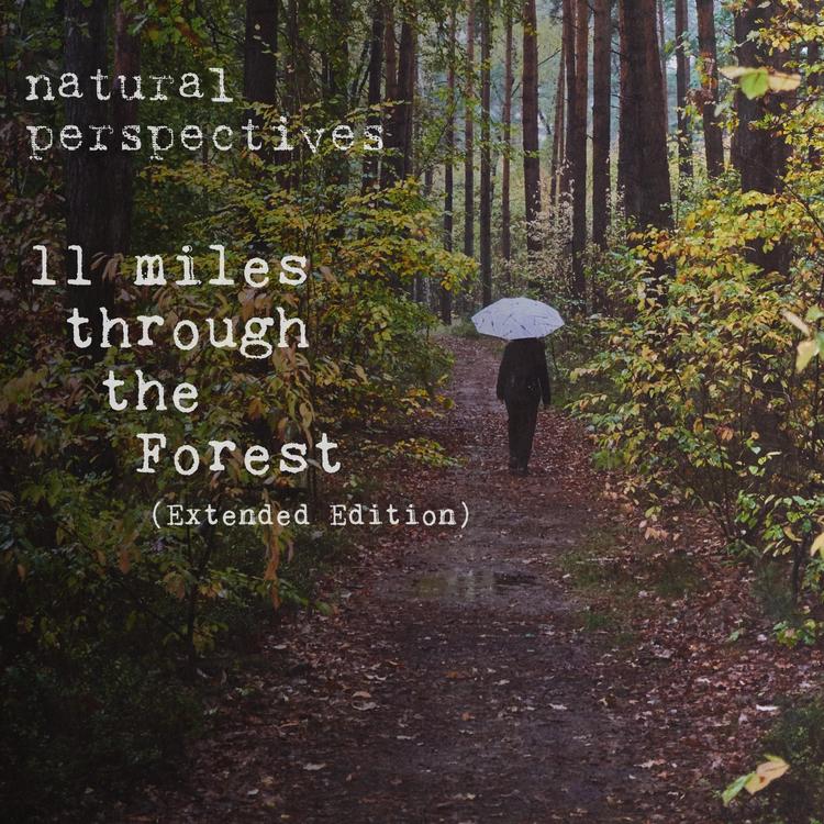 Natural Perspectives's avatar image