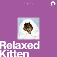 Relax My Kitten's avatar cover