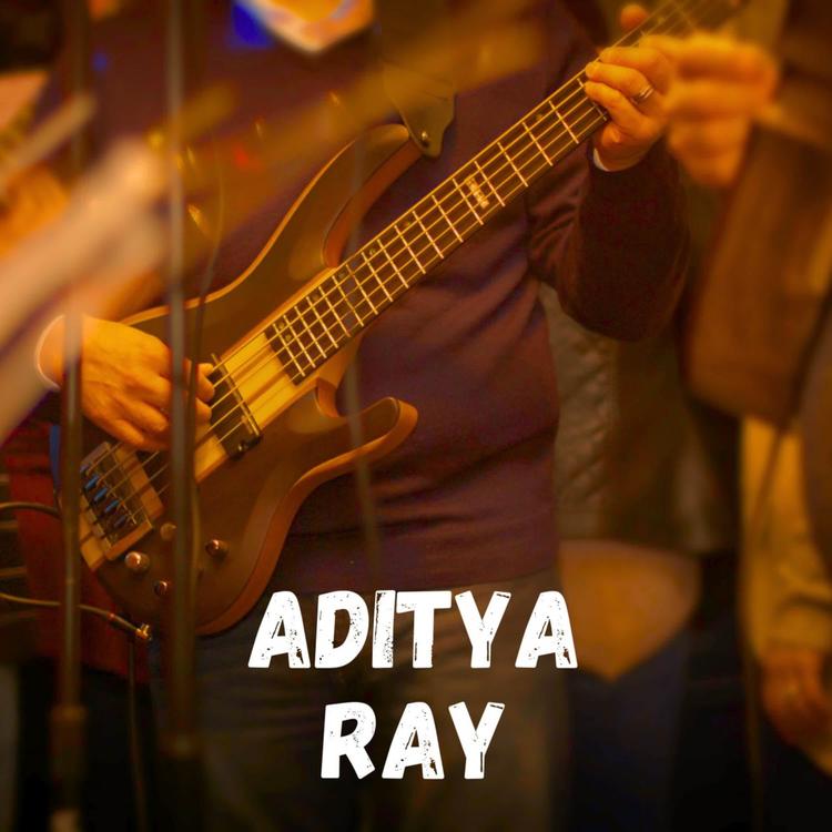 Aditya Ray's avatar image