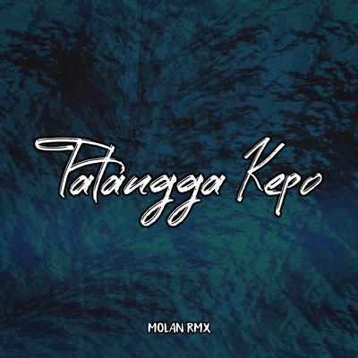 Tatangga Kepo (Remix)'s cover