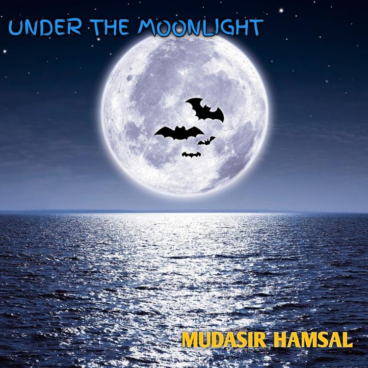 MUDASIR HAMSAL's avatar image