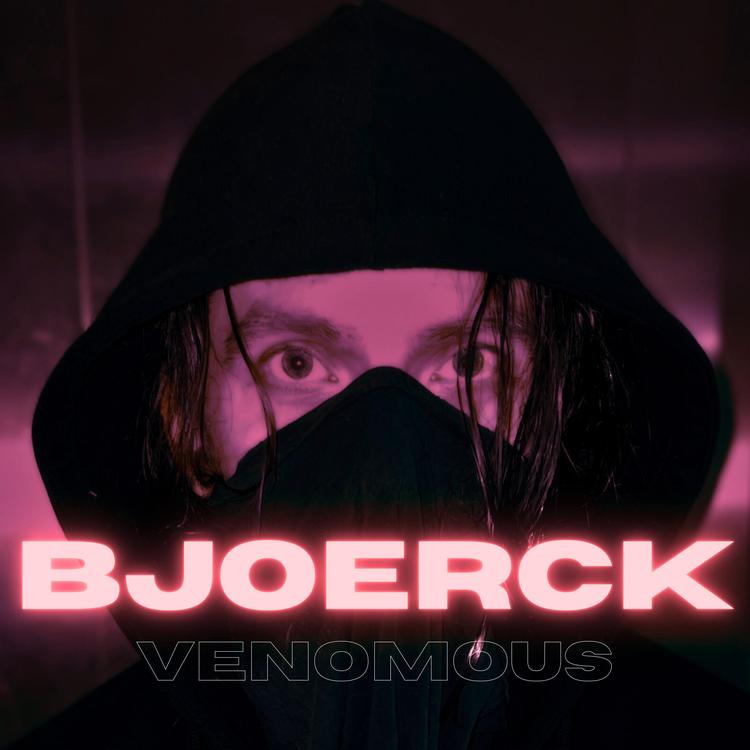 Bjoerck's avatar image