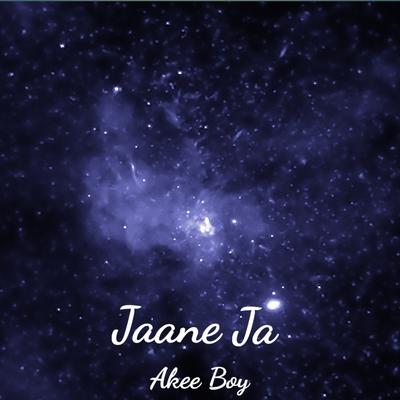 Jaane Ja's cover