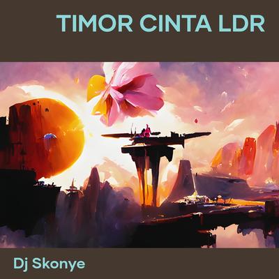 Timor cinta ldr (Remix)'s cover