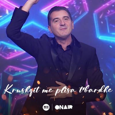 Krushqit me plisa t'bardhe By Gazmend Mehmeti's cover