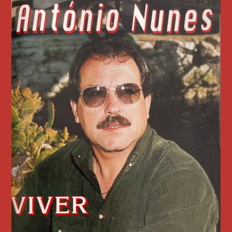 Antonio nunes's avatar image