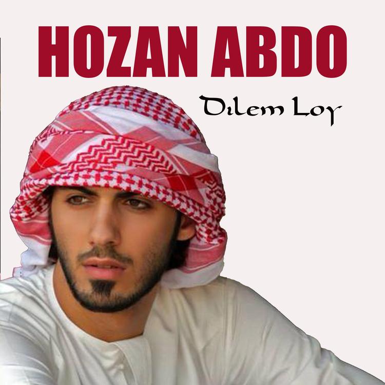 Hozan Abdo's avatar image