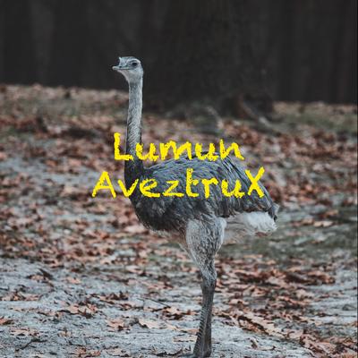 Lumun's cover