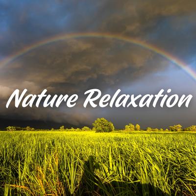 Nature Relaxation's cover