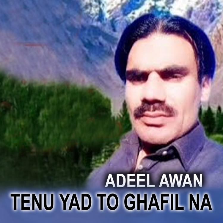 Adeel Awan's avatar image