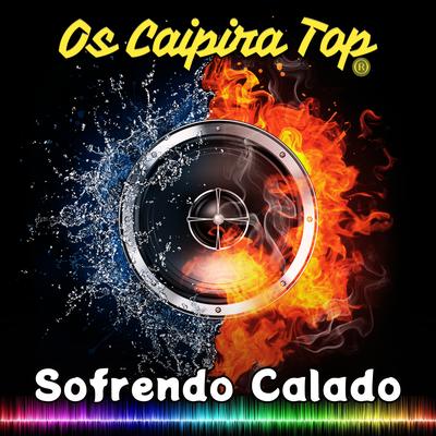 Sofrendo Calado (Remix)'s cover