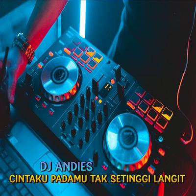 DJ Cinta Padamu Tak setinggi Langit's cover