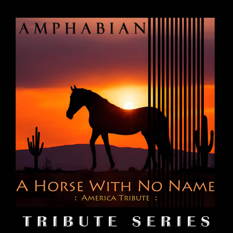Amphabian's avatar image