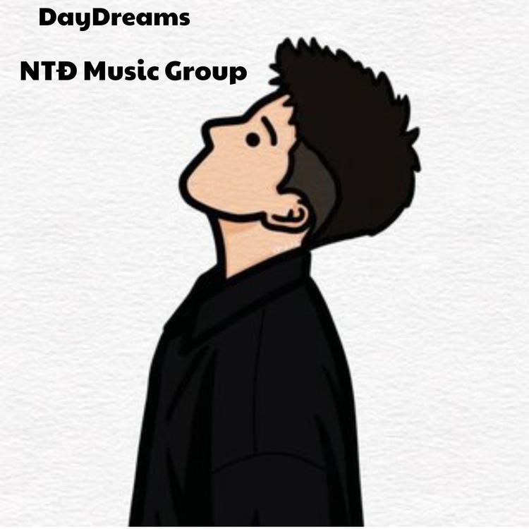 NTĐ Music Group's avatar image