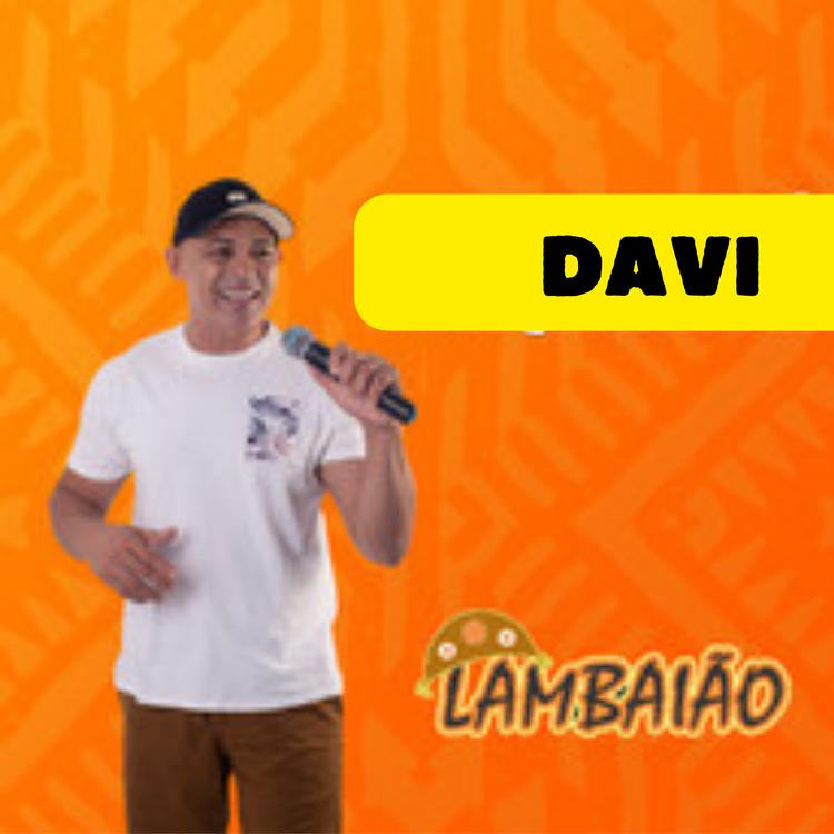 LAMBAIÃO's avatar image