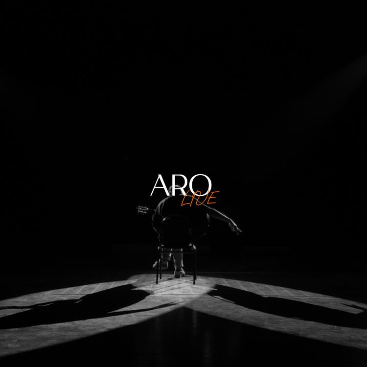 ARO's avatar image