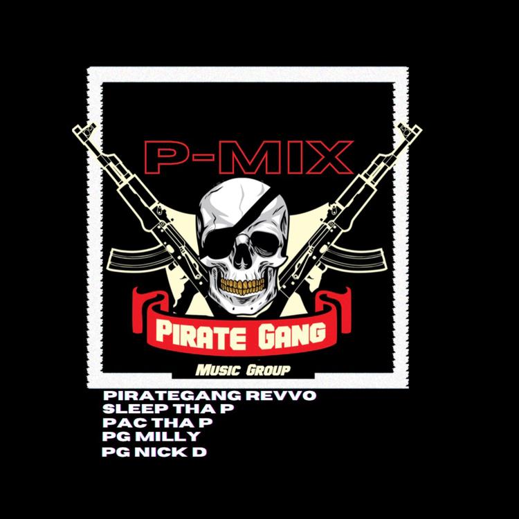 Pirate Gang Music group's avatar image