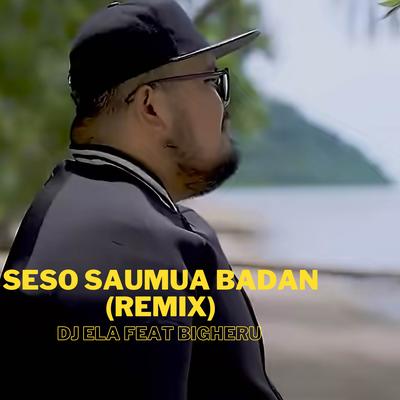 Seso Saumua Badan (Remix)'s cover