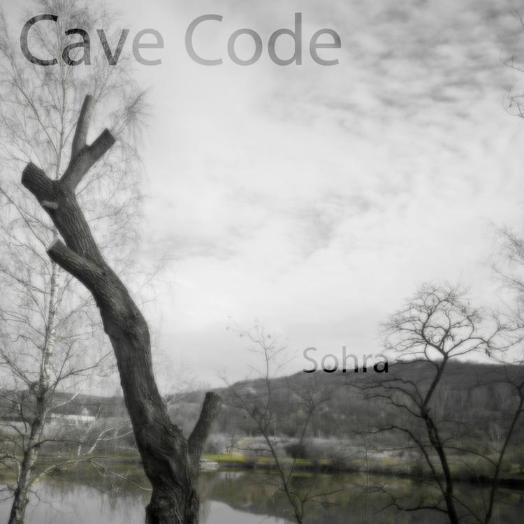 Cave Code's avatar image