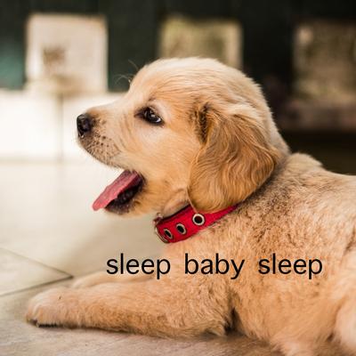 Sleep Baby Sleep's cover