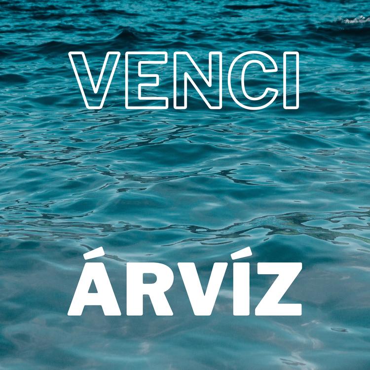 Venci's avatar image