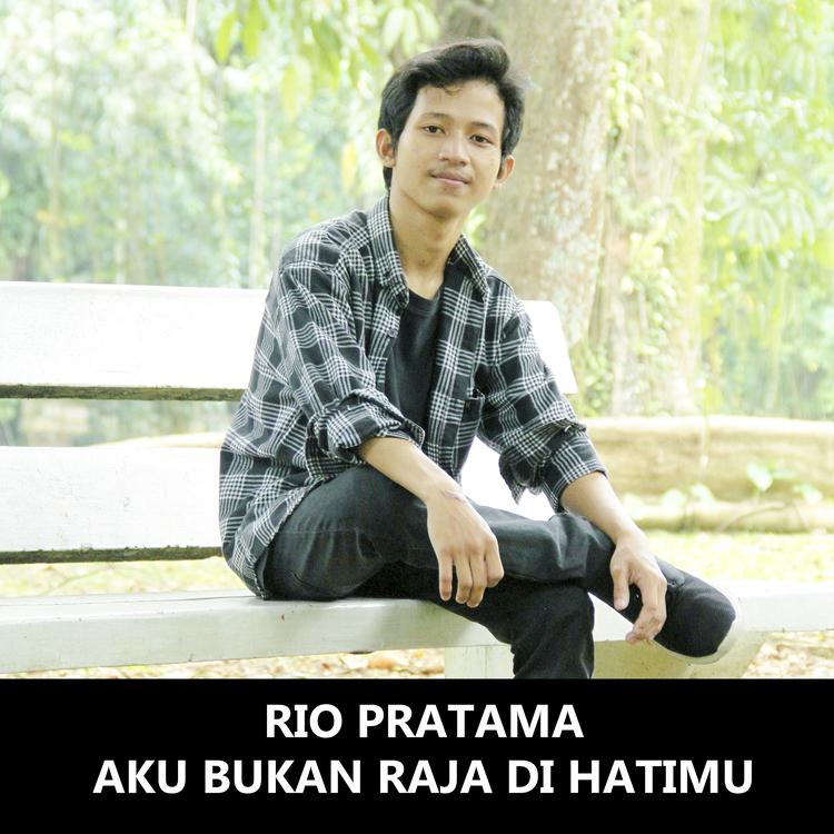 Rio Pratama's avatar image