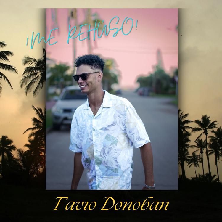 Favio Donoban's avatar image