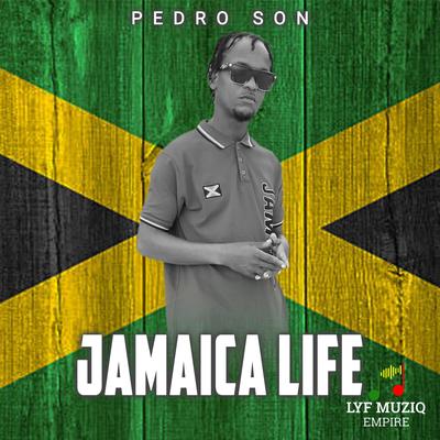 Jamaica Life's cover