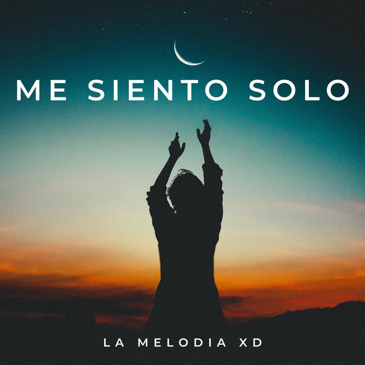 La Melodia XD's avatar image