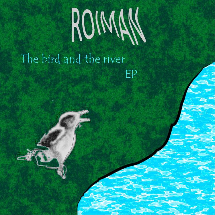 Roiman's avatar image