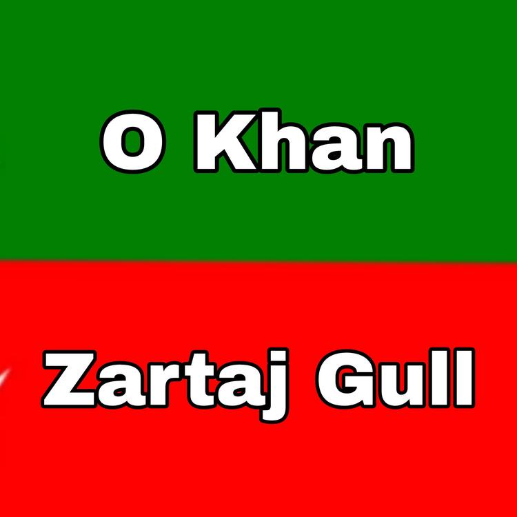 Zartaj Gull's avatar image