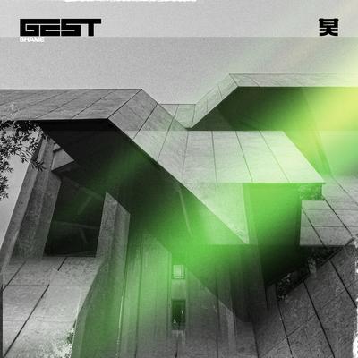 Shame By Gest's cover