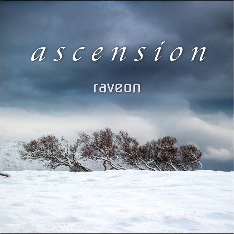 Raveon's avatar image