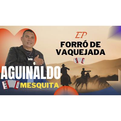 Aguinaldo Mesquita's cover