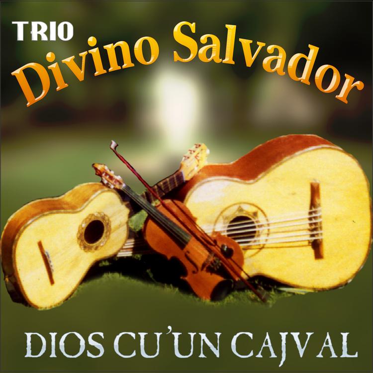 Trio Divino Salvador's avatar image