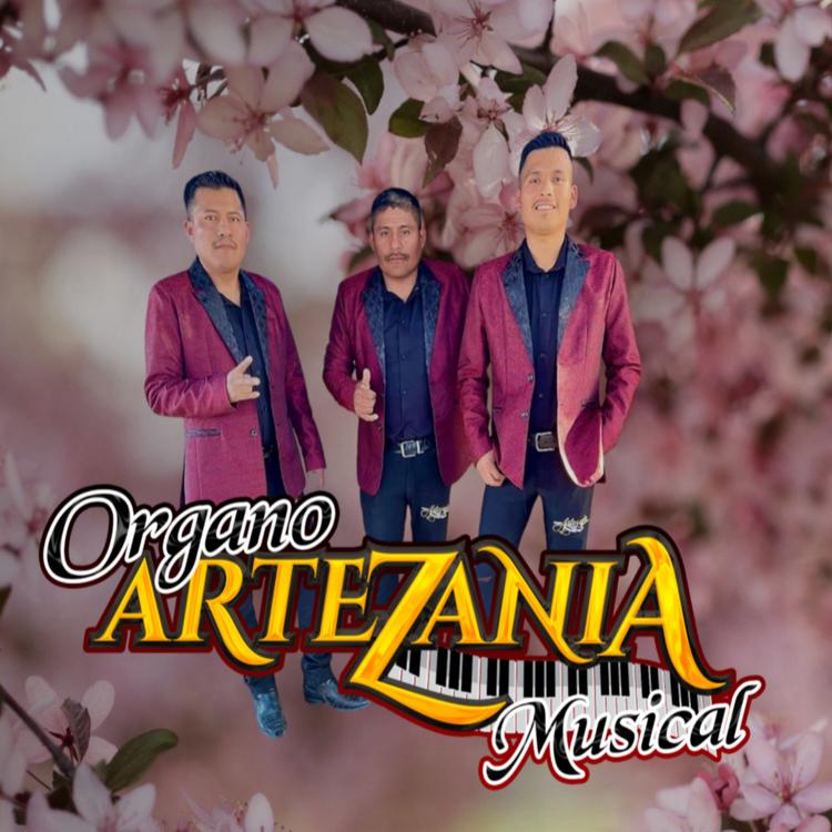 Organo Artezania Musical's avatar image