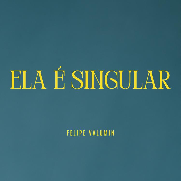 Felipe Valumin's avatar image