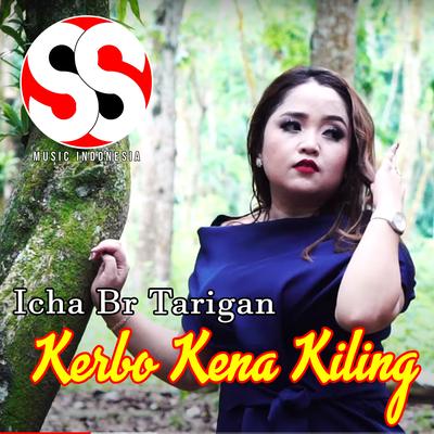 Icha Br Tarigan's cover